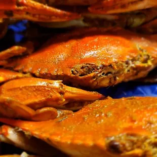 a close up of a pile of crabs