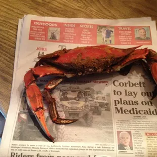 See that boy in comparison to the daily paper.