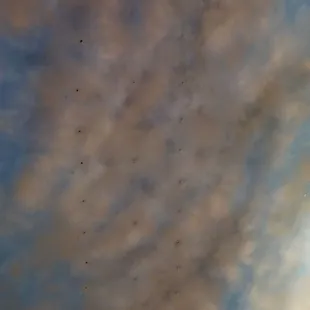 Rain drops from the holes