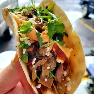 a hand holding a taco