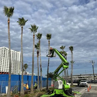 Are you in need of a reliable and professional landscaping and ground maintenance service that meets your high standards?