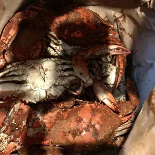 Crabs in a bag- they were amazing!