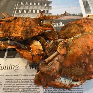 two crabs on a newspaper