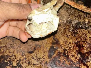 Cravin' Crabs