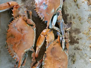 Seamarket