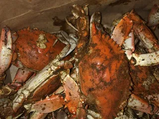 The Crab Depot