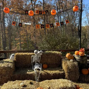 Halloween decorations