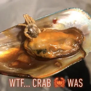 We ordered mussels &amp; it came with free crab