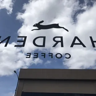 Looking out the front window