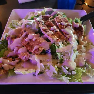 Chicken Caesar Salad