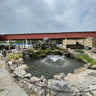 Koi Pond