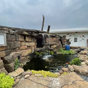 Koi Pond