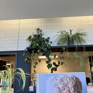 a cake and plants