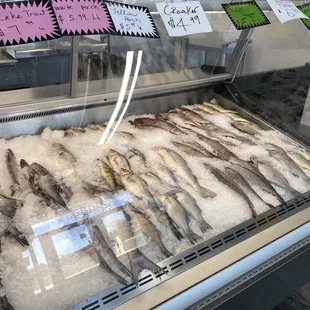 Fresh fish!!!!
