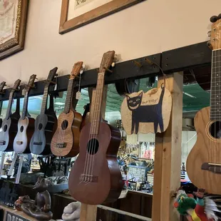 Came in here to buy an A string for a thrift store uke and he put one on for free! Fantastic place!
