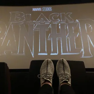 Black Panther opens today!