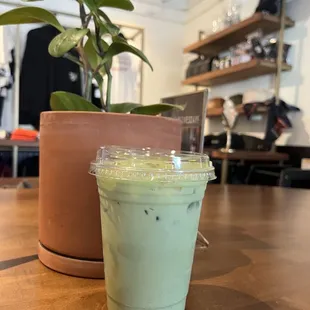 Iced Matcha