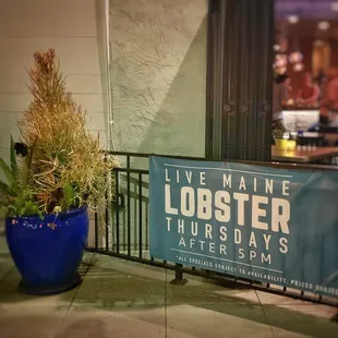 Thurs night special is lobster with side of rice.  Be forewarned even after a certain hour of the night they enforce (1 per customer rule)