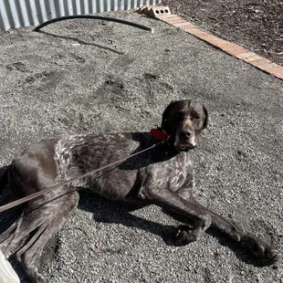 Relaxing on the outside patio