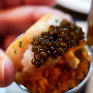 Harlo Caviar Bites - Caviar taco (hamachi) - for scale