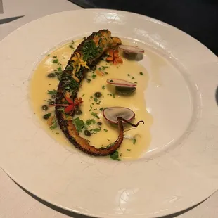 Encrusted Spanish Octopus