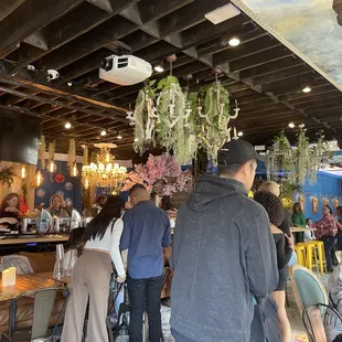 salads, interior