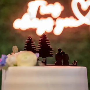 Cake Topper Featuring the Sweetest Couple