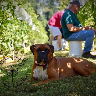 Tyson the harvest captain.
