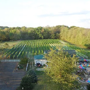 Hot air balloon view of 'The Hill'