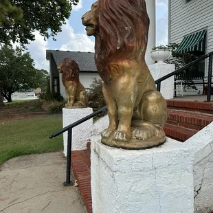 Lions on front porch