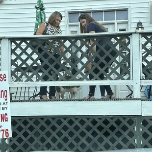 Harmony house cat! They take care of it. So sweet