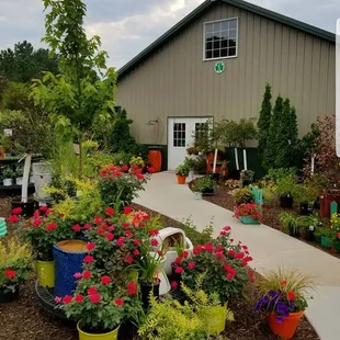 Harmony Nursery & Daylily Farm