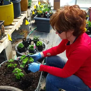 Spring Custom Potting