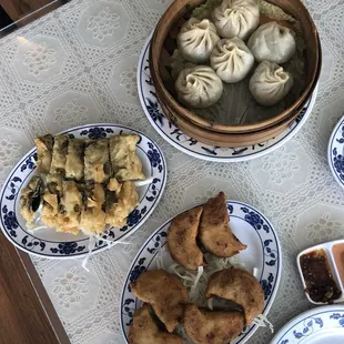 Pan Fried Leek Dumplings