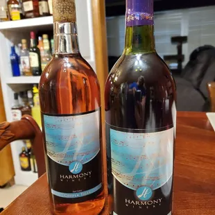 I took these two home