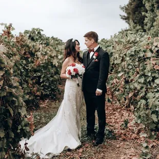 Vineyard at Harmony Wynelands