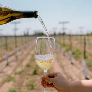 a person pouring a glass of wine