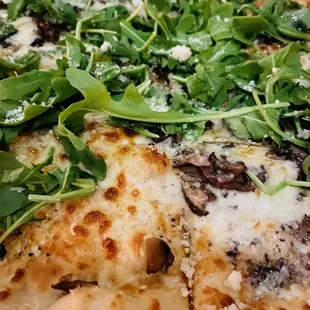 Mushroom and Truffle Pizza