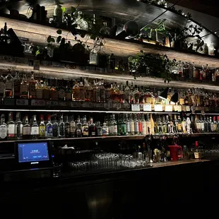 a bar with a lot of bottles on the shelves