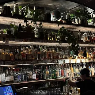 a bar with shelves full of liquor bottles