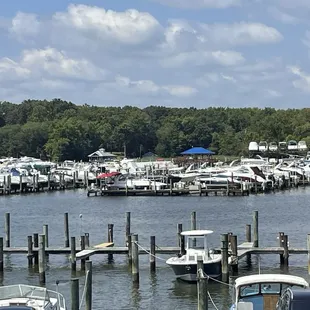 Just one of the beautiful views