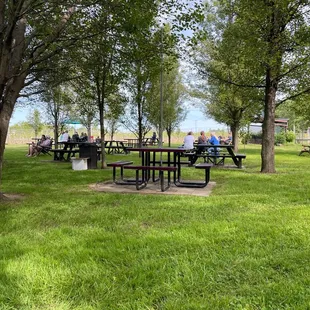 Grassy dog friendly zone. Lots of seats and shade.