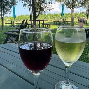 two glasses of wine