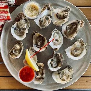 Dozen Oysters