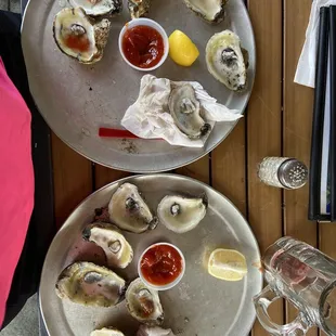Oysters on the half shell