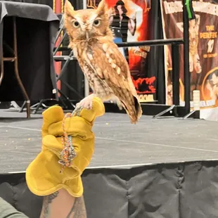 Asheville tattoo convention Nov 3-5, 2023