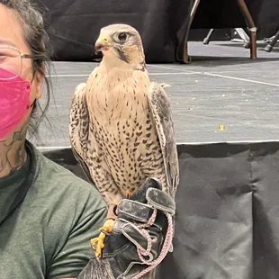 Asheville tattoo convention Nov 3-5, 2023