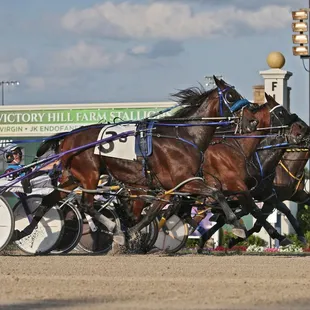 Harness Racing