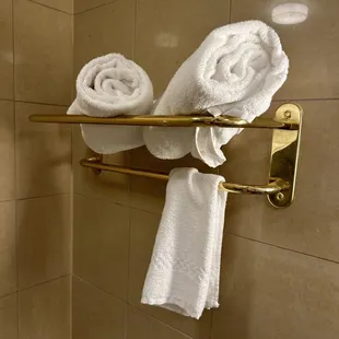 Only two bath towels in the room.