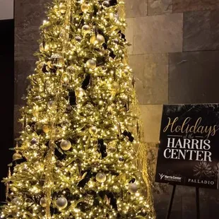 Festive first floor level